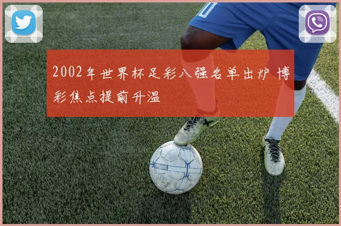 2002年世界杯足彩八强名单出炉 博彩焦点提前升温