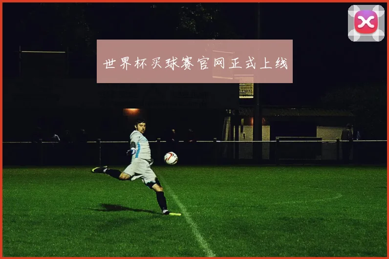 世界杯买球赛官网正式上线